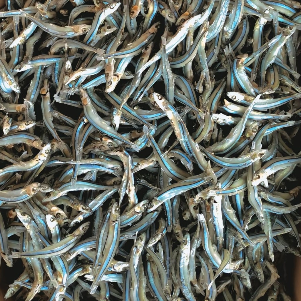 Dried Anchovies